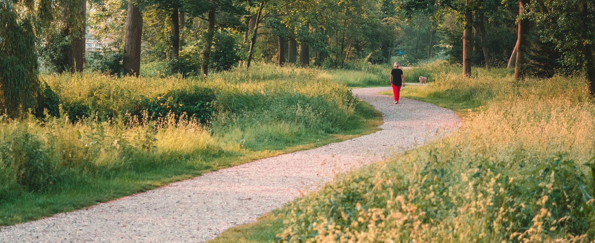 person walking down a path in spring person walking down a path in spring