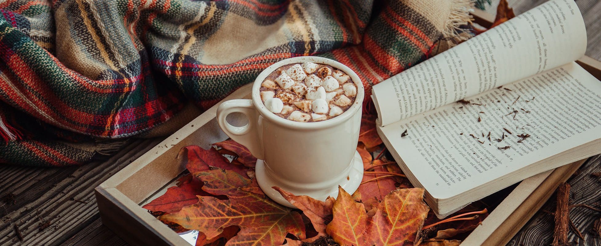fall feels with scarf hot chocolate and book fall feels with scarf hot chocolate and book