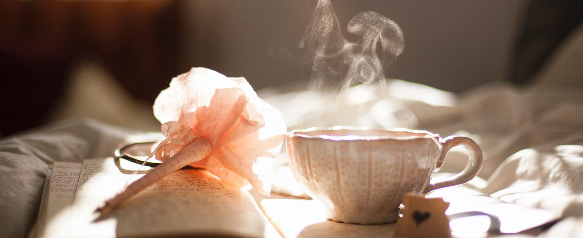 flower and cup of coffee flower and cup of coffee