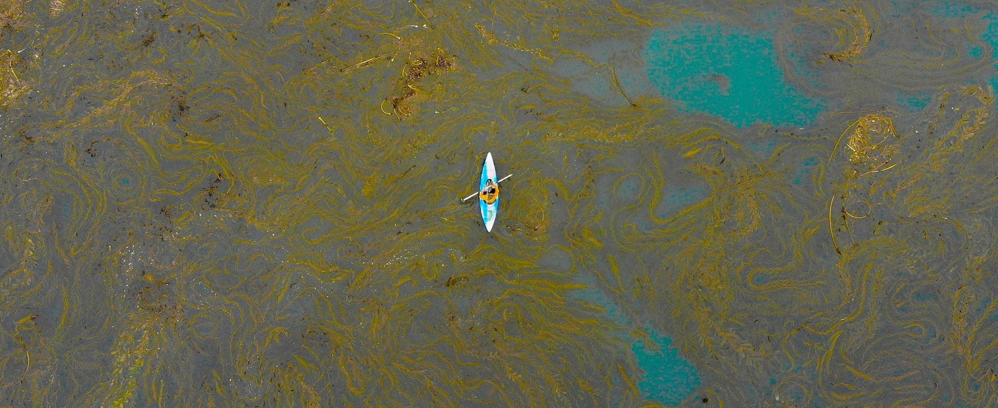 kayaker wading through oil spill kayaker wading through oil spill