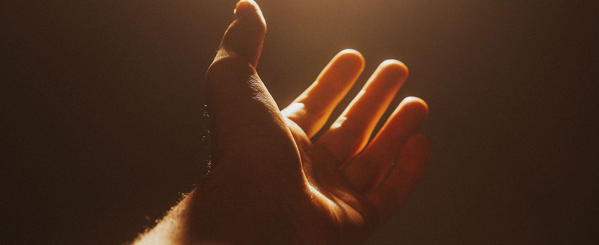 person holding hand in sunlight person holding hand in sunlight